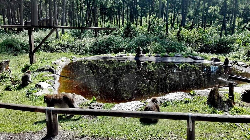 Barrier-Free Guided Tours