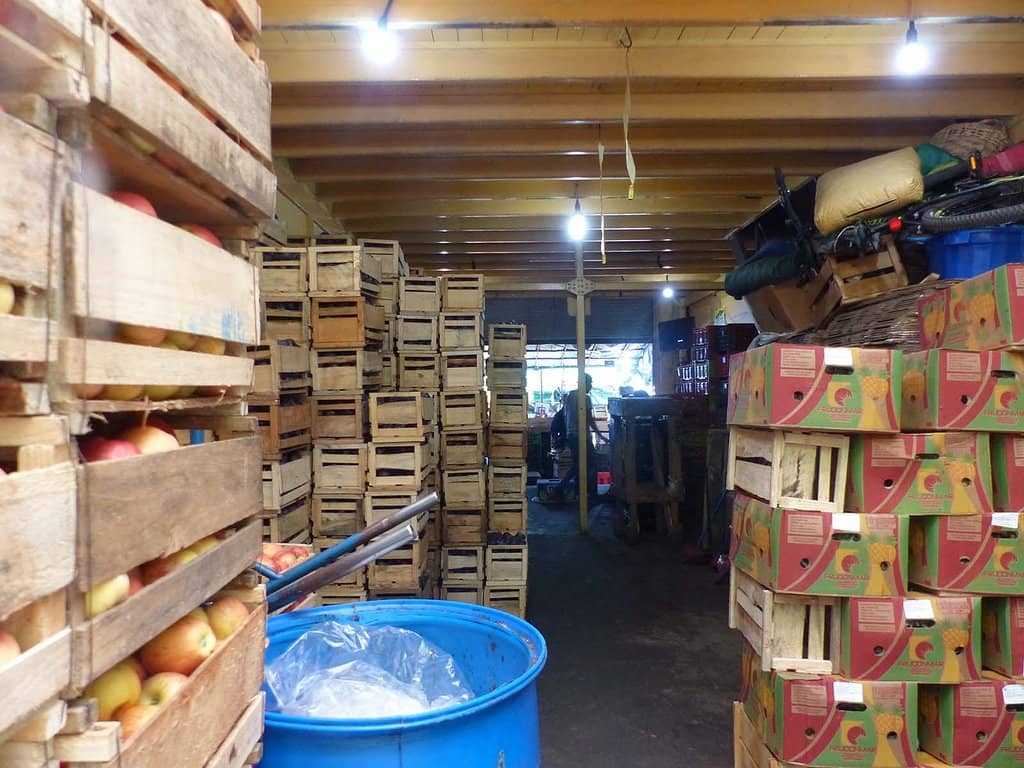 Fresh Produce Paradise