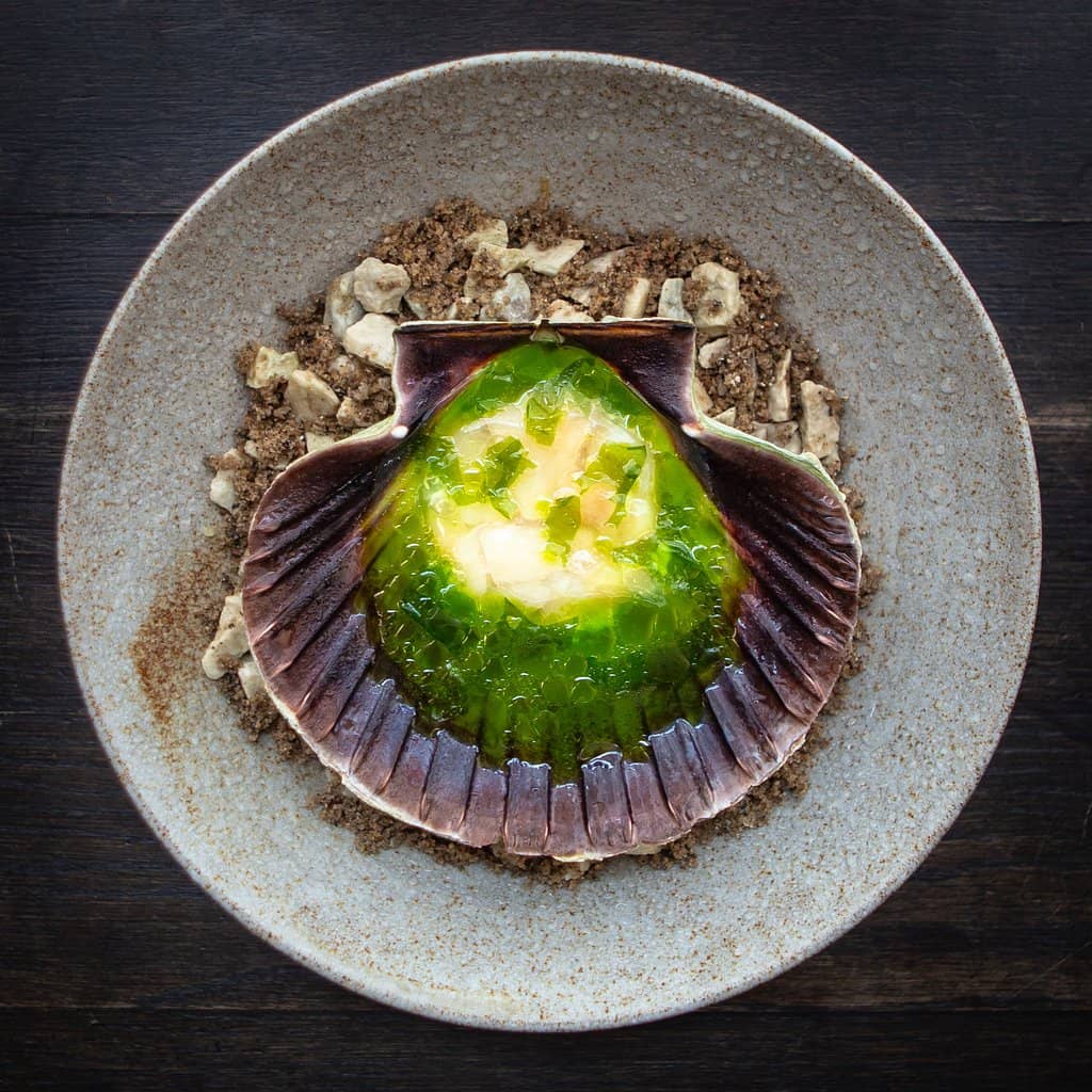 Specialty Coffee Creations