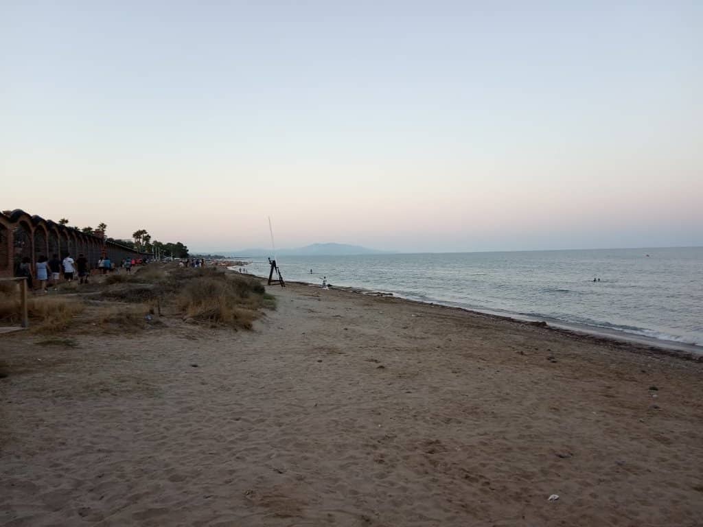 Unexpected Wildlife Encounters