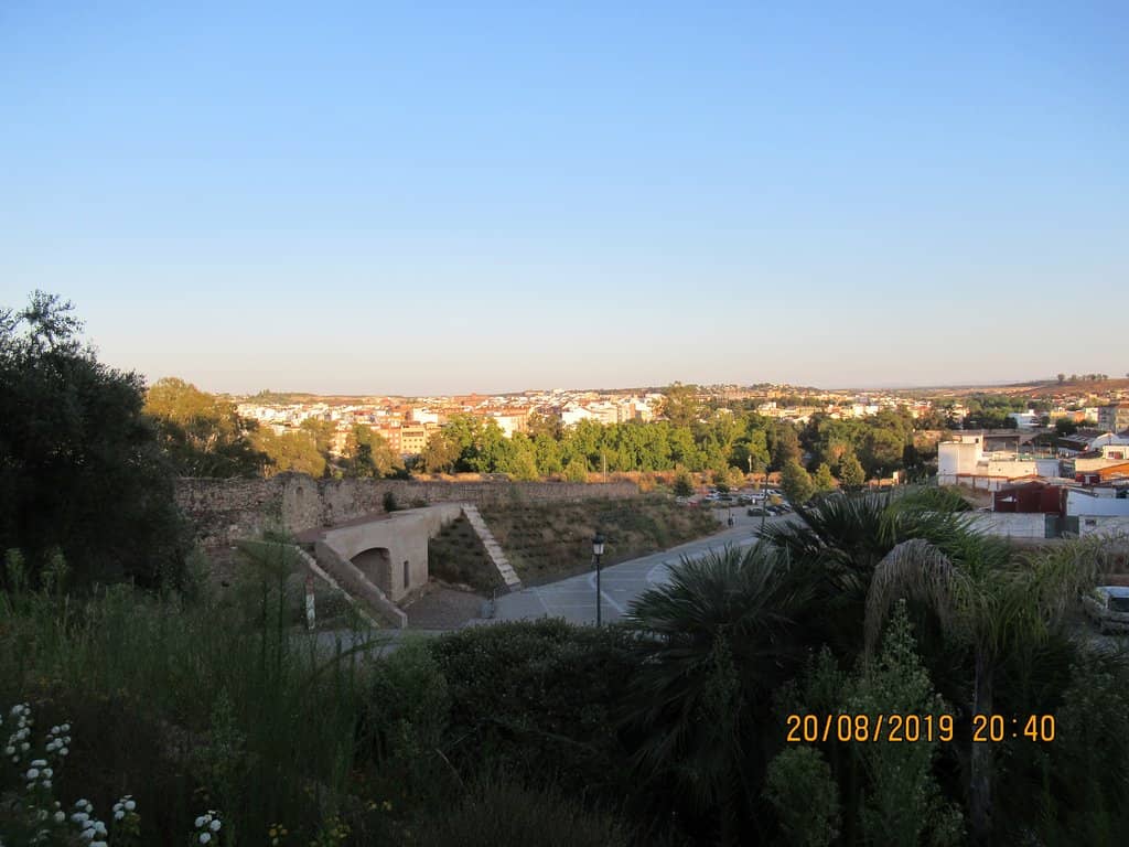 Vertical photo