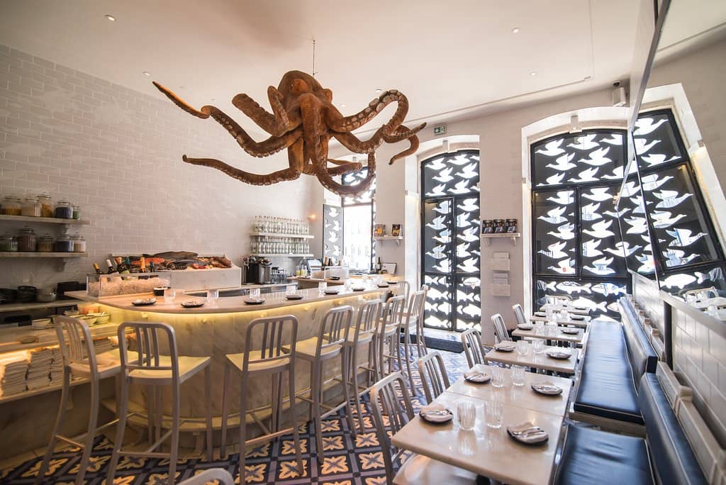 Whimsical Octopus Decor