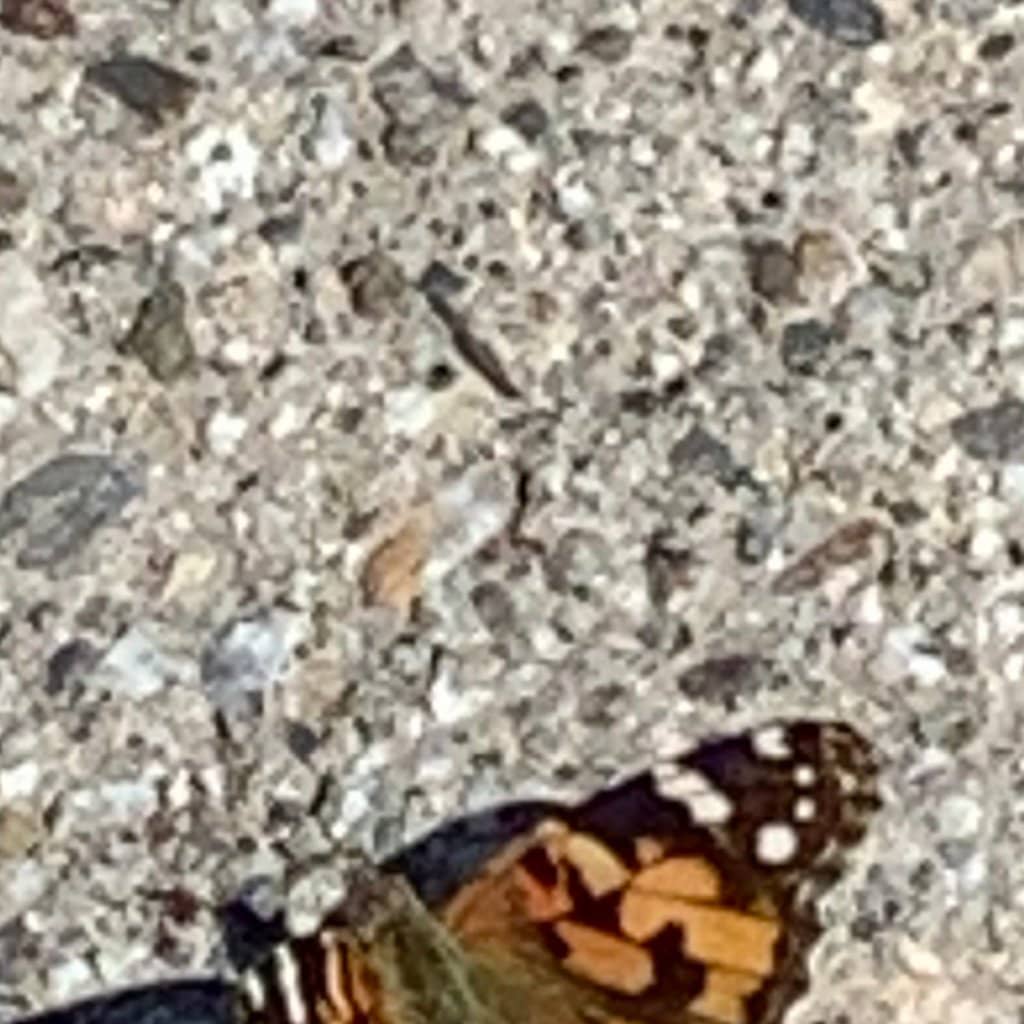 Family-Friendly Restaurant