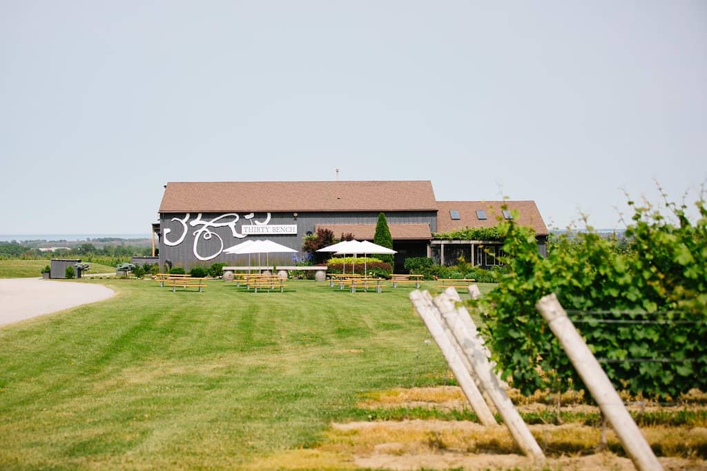 Platinum Vineyard Tour