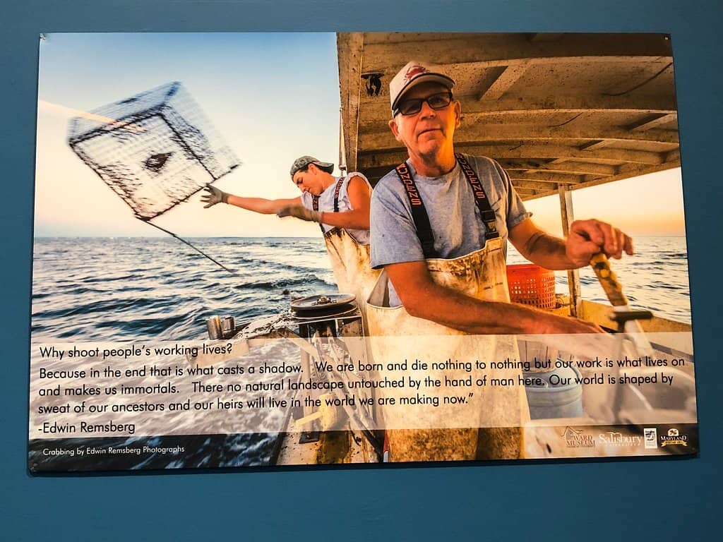 Schumaker Pond Trail