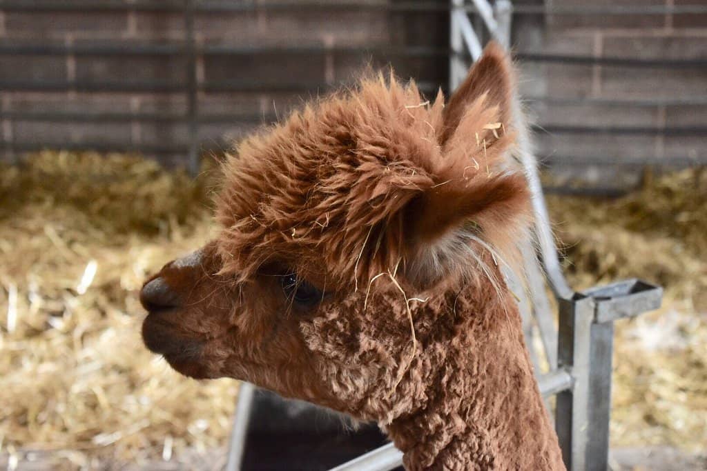 Playgrounds & Outdoor Fun