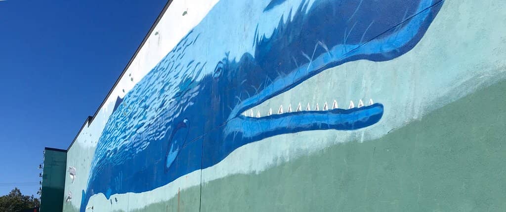 Shoreline and Gateway to the Atlantic