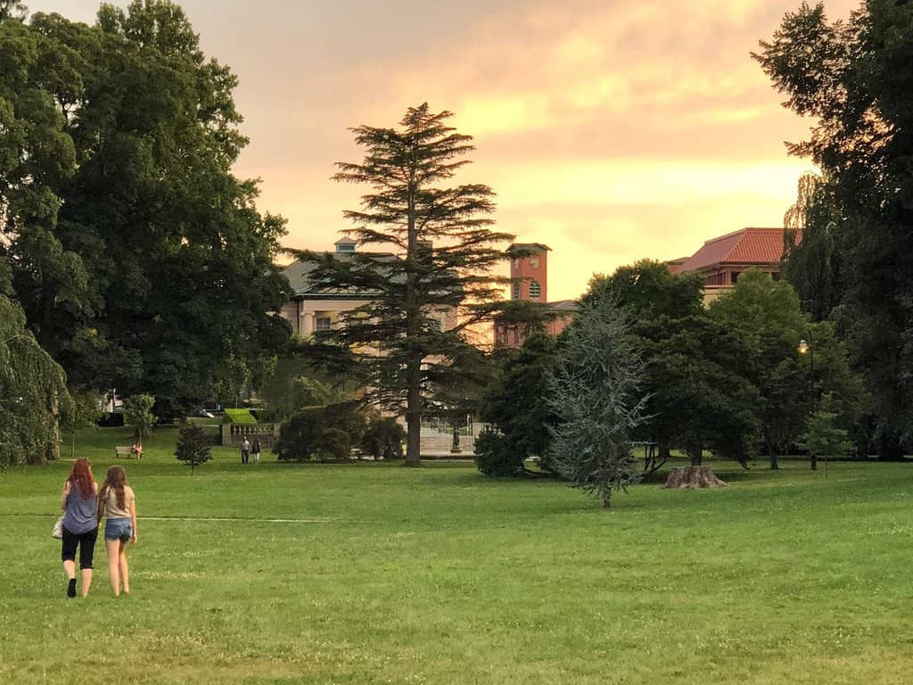 Children's and Teen Areas