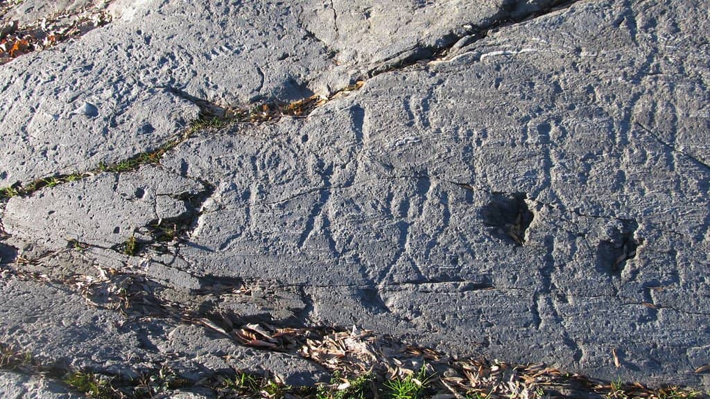Valtellina Valley Views