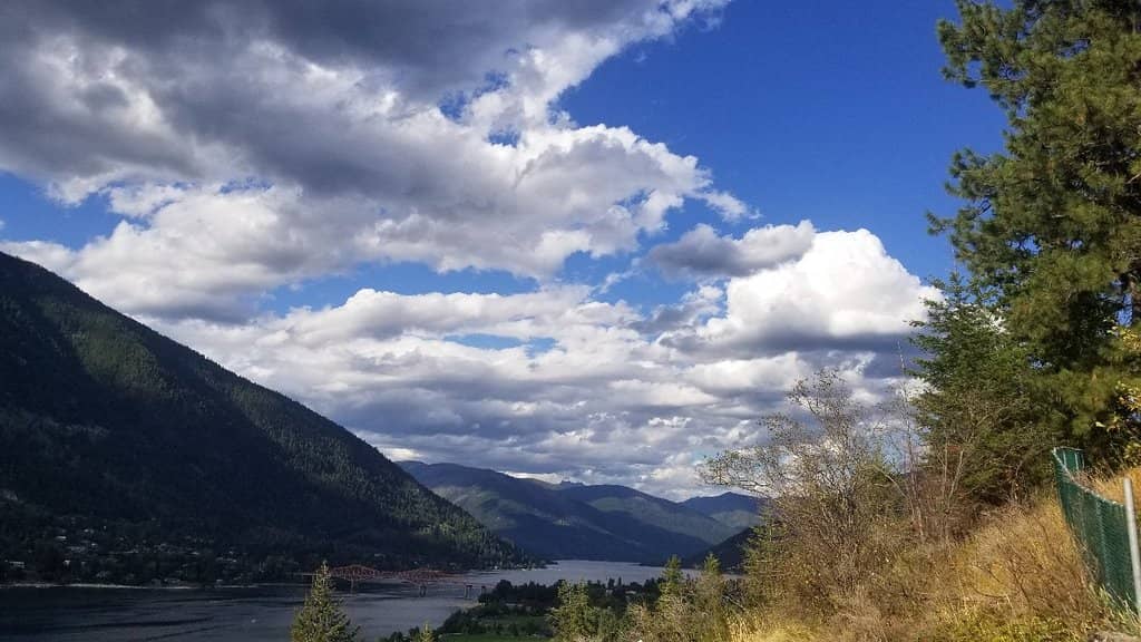 Vibrant Flower Gardens