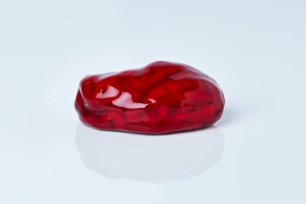 Multi-Level Club Experience