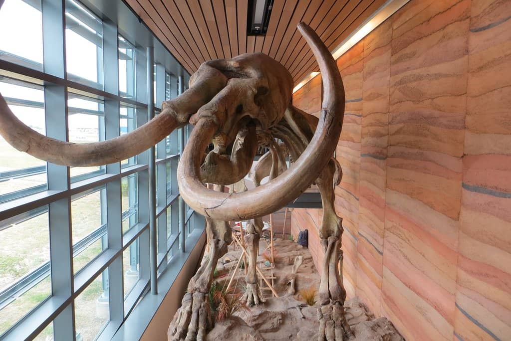 Clean Restrooms & Pet Area