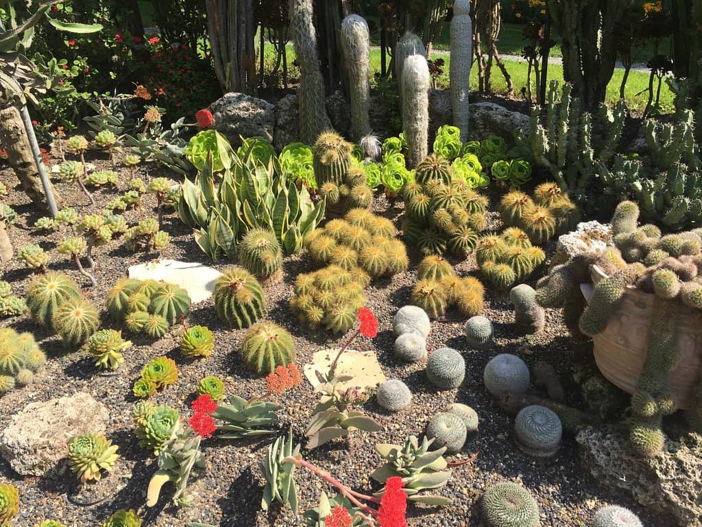 Children's Play Area