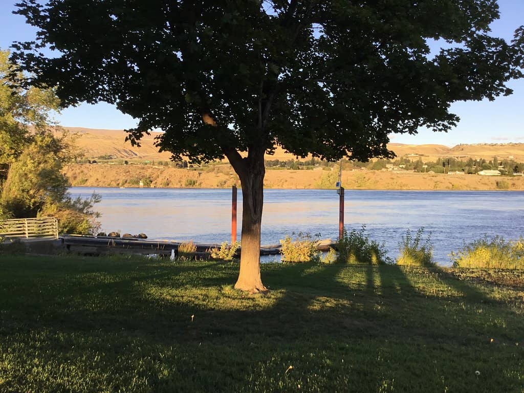 Salmon Habitat Restoration