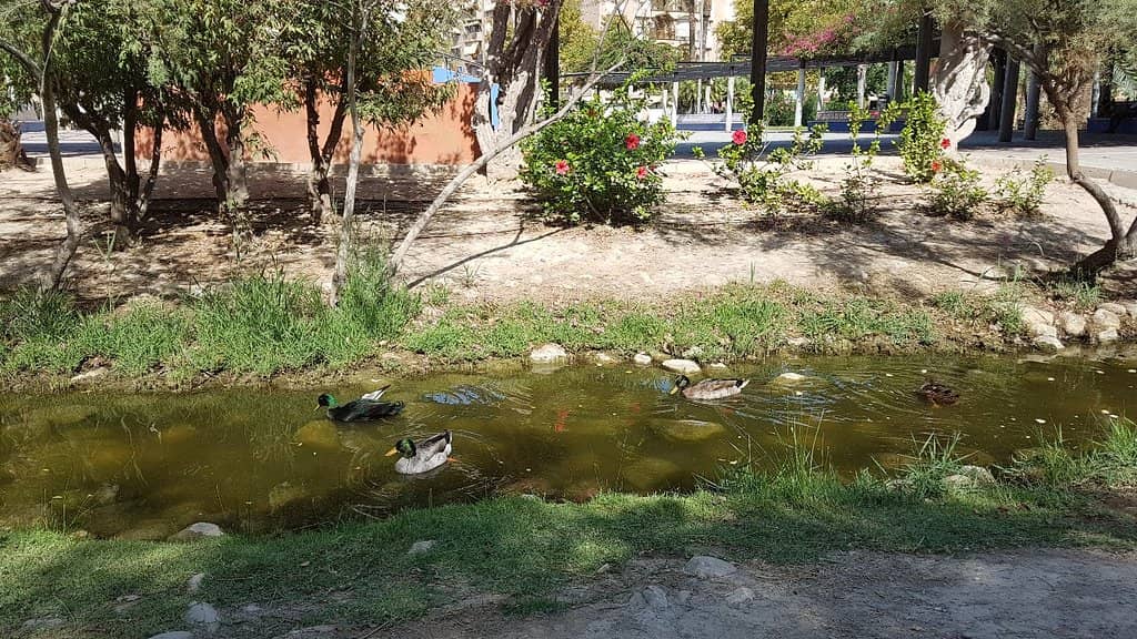 Outdoor Gym Equipment