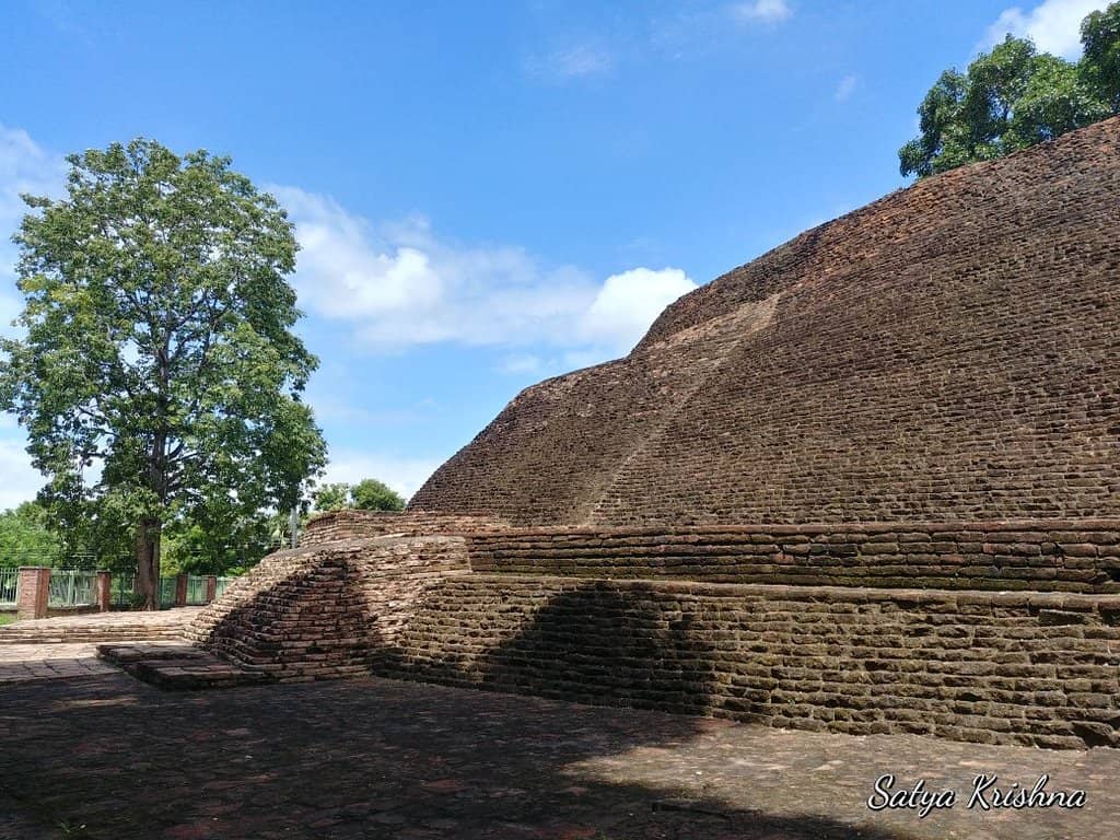 Well-Maintained Garden