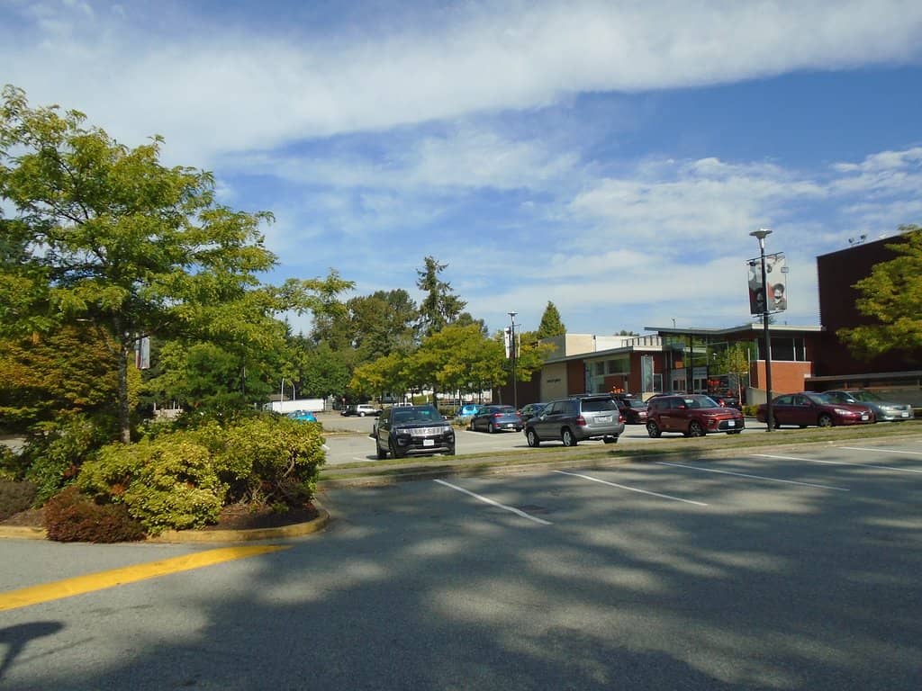 Community Dance Showcases