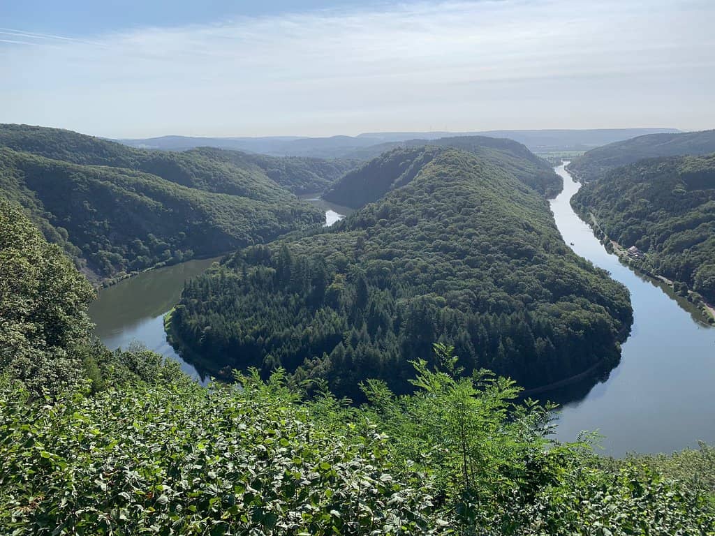 The Iconic Saar Bow View