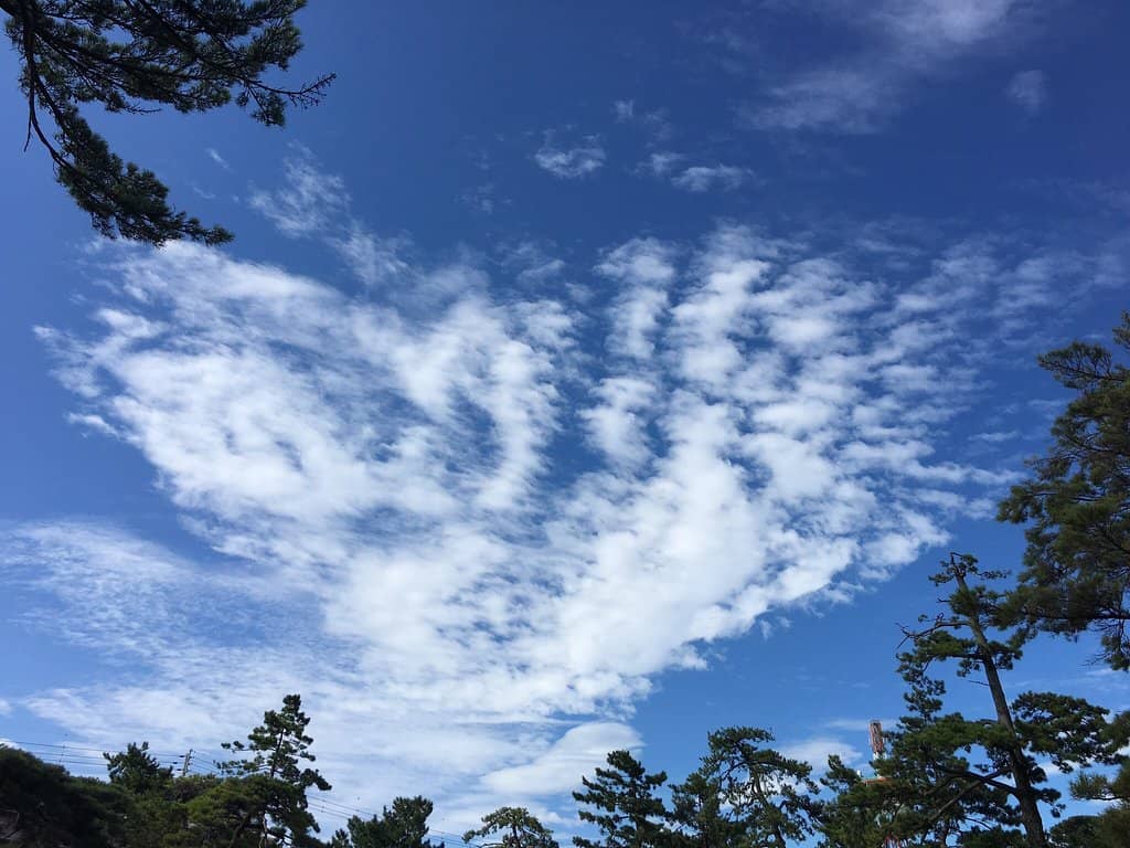 Architectural Grandeur