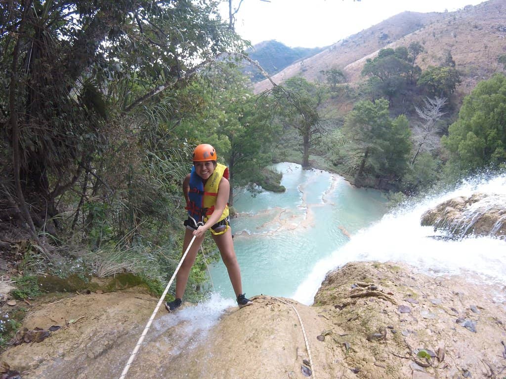 Immersive Rainforest Experience