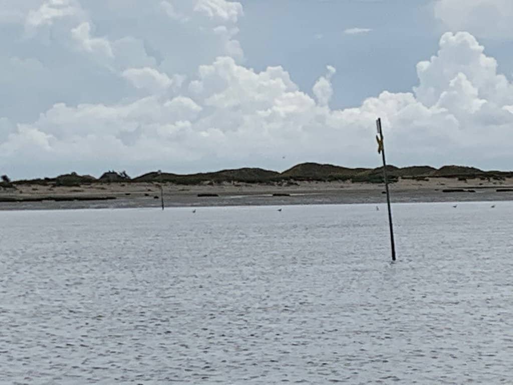 Seal Spotting