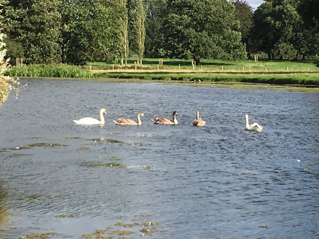 Queen Anne House Interior