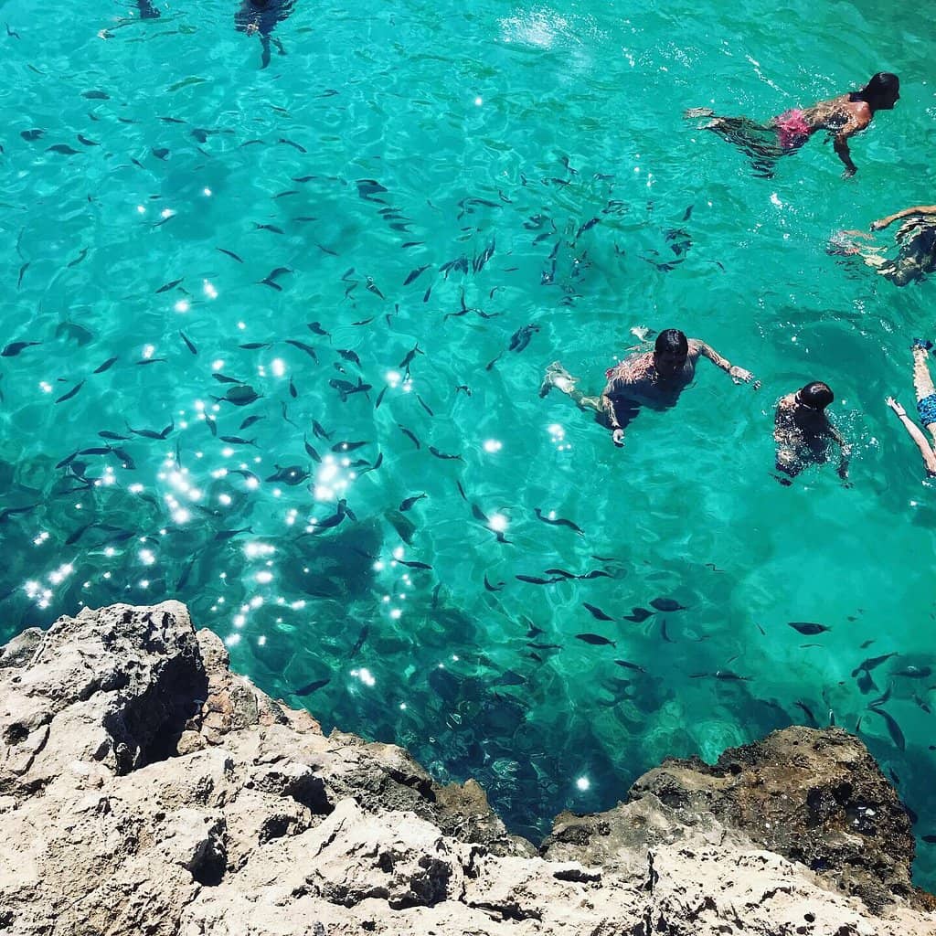 Natural Saltwater Pool