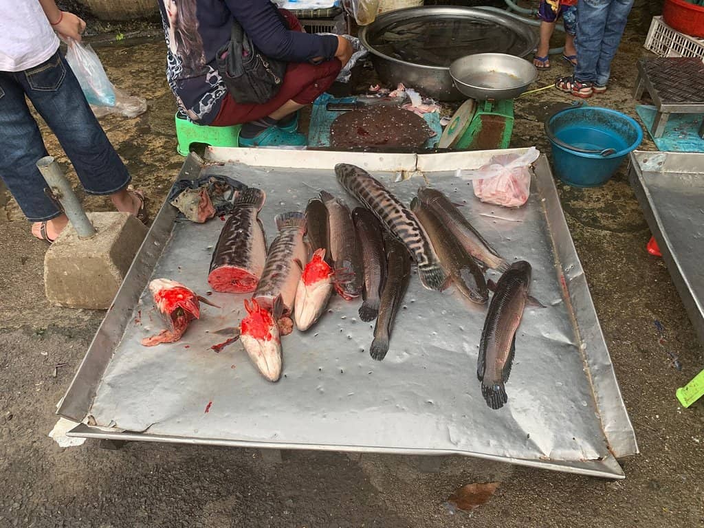 Local Crafts and Souvenirs