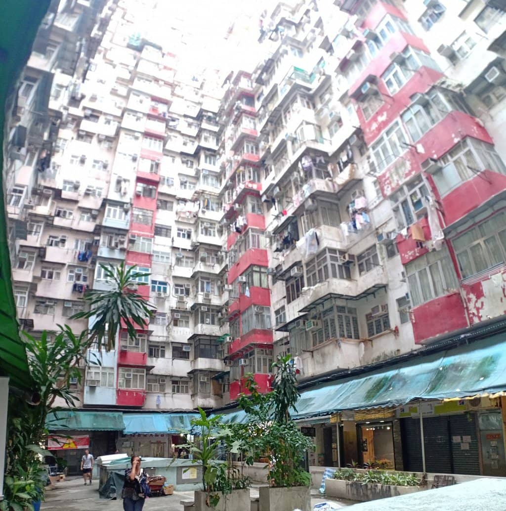 Urban Jungle Atmosphere