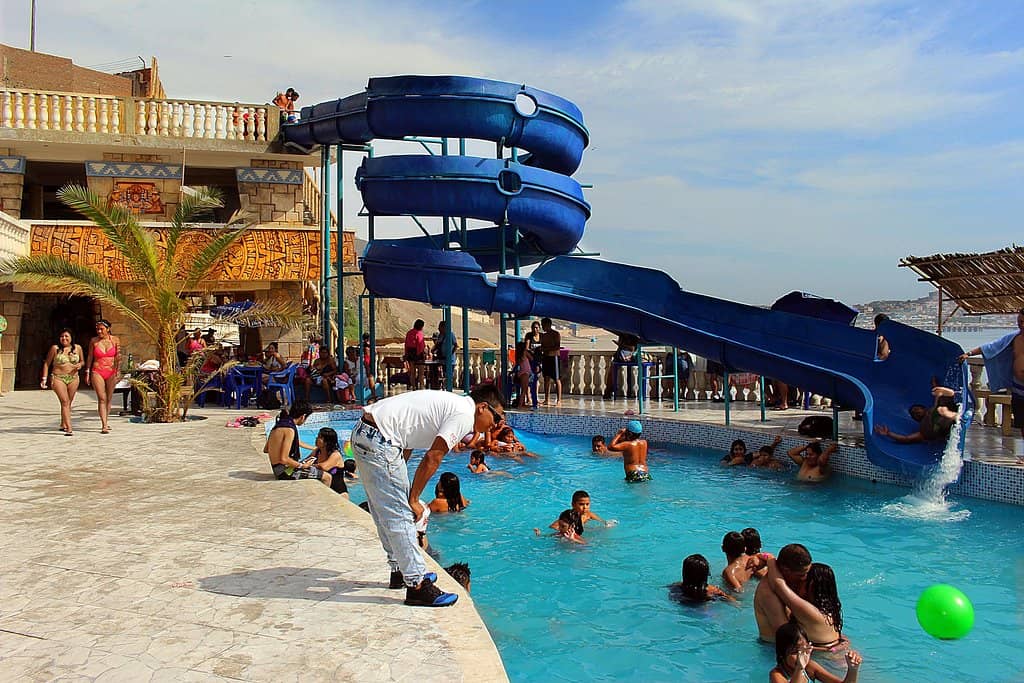 Museums & Wildlife Encounters