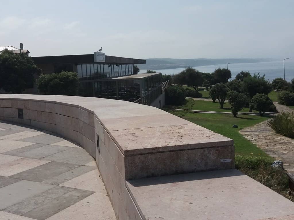 Family-Friendly Playground