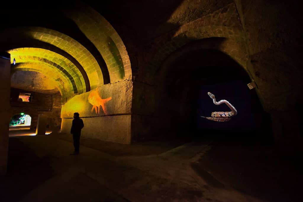 Wine Tasting Experience