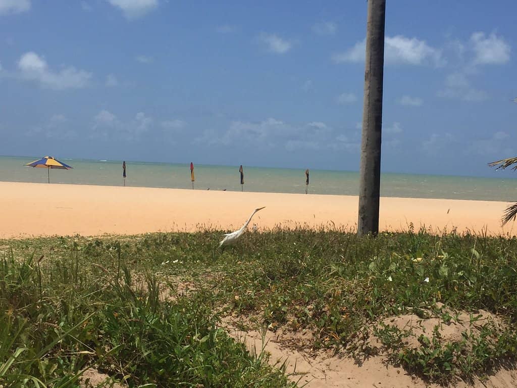 Cultural and Historical Archives