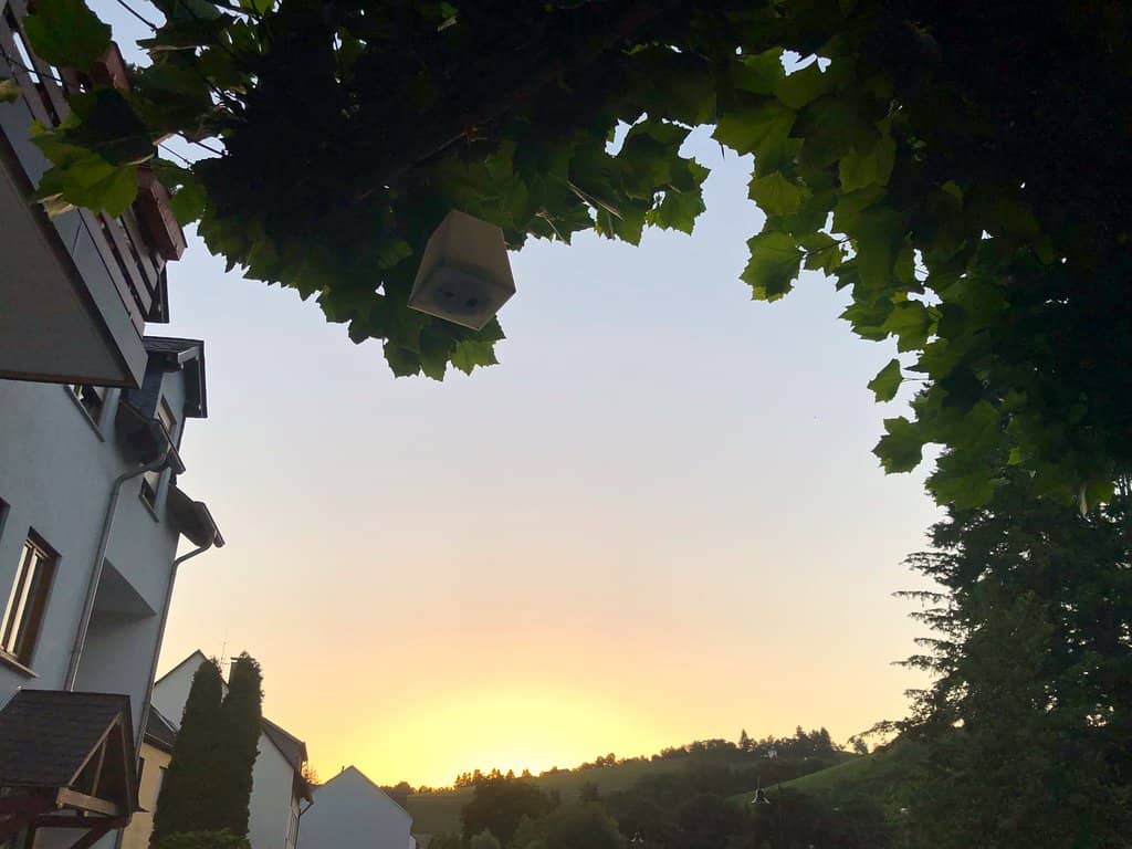 Secluded Outdoor Patio Dining