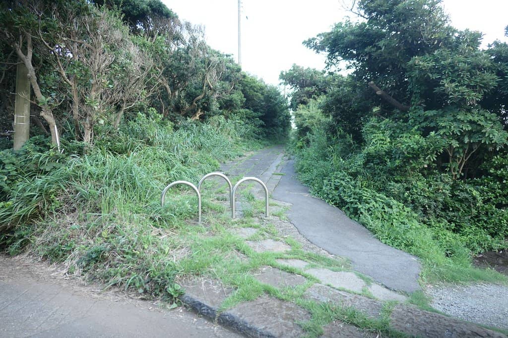 Tide Pool Exploration