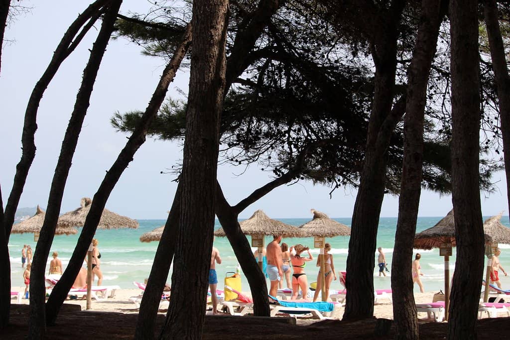 Shallow, Warm Waters