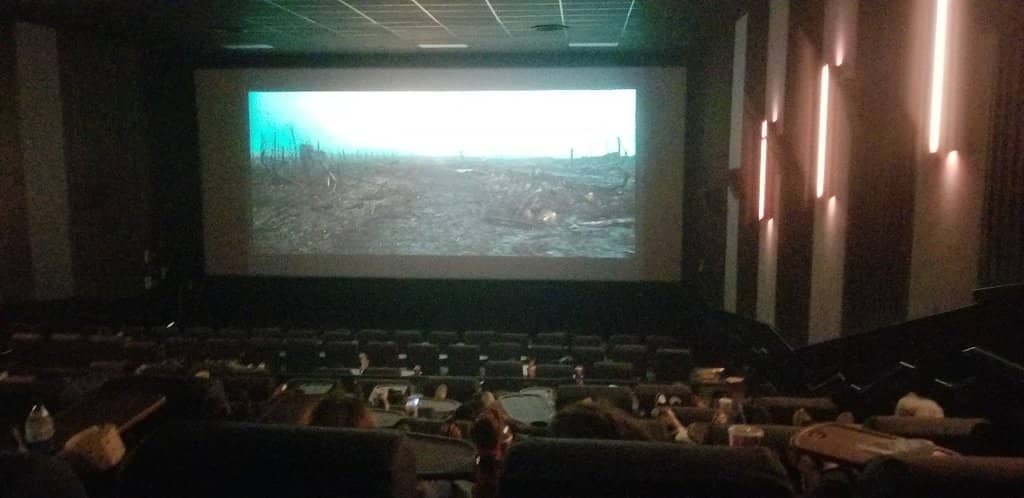 Attentive Staff & Management