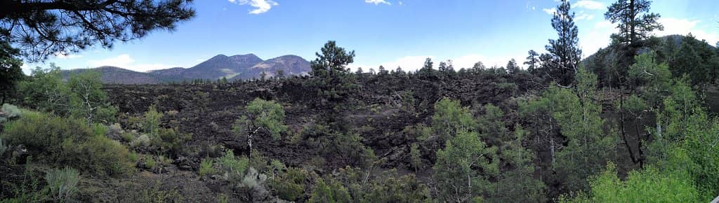 Visitor Center Exhibits