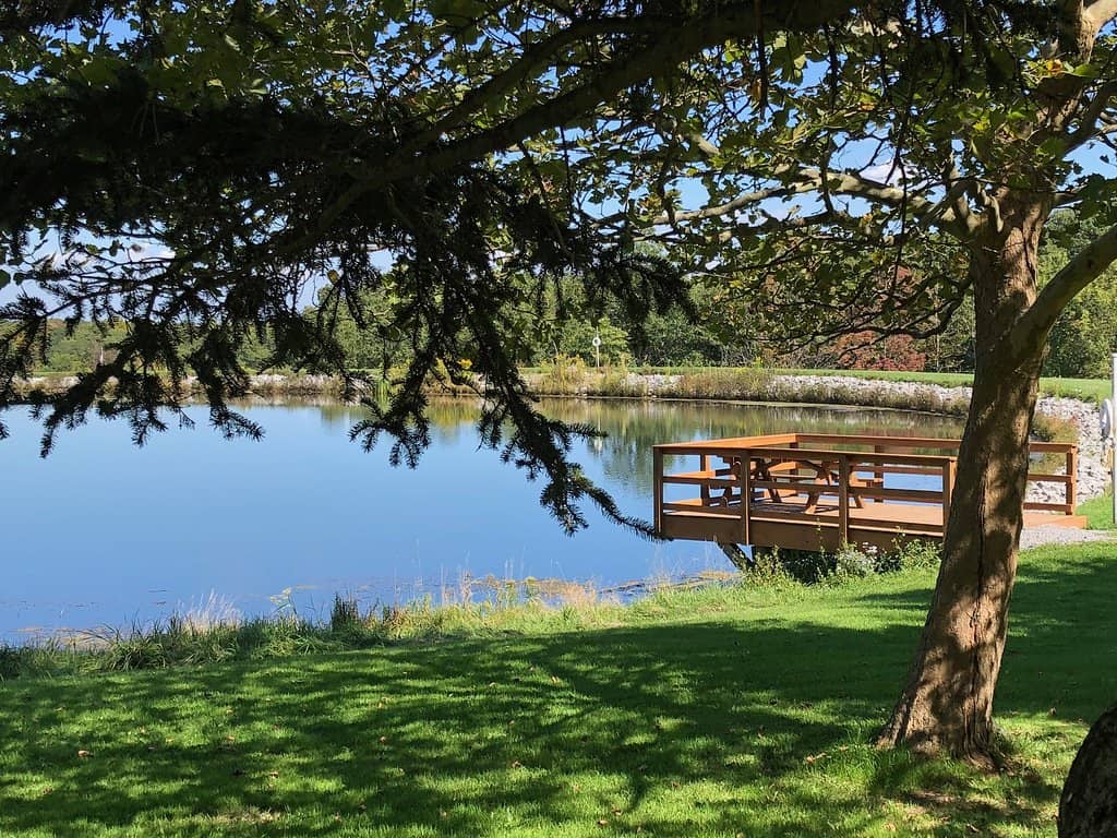 Camping and Cabin Stays