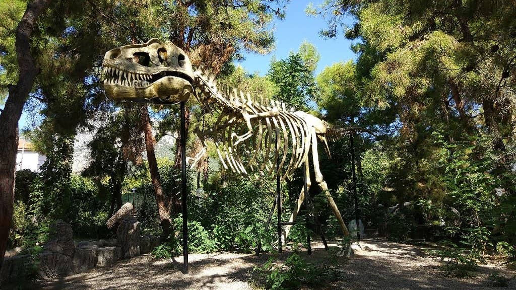 Adventure Park & Splash Pool