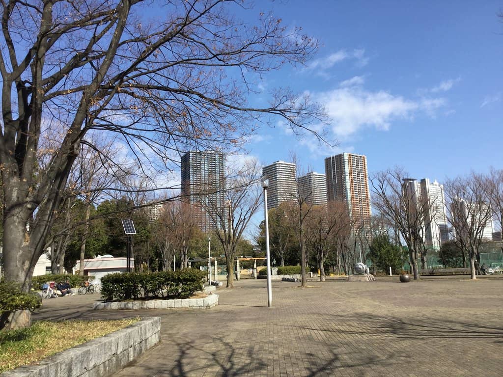 Sakura Spectacle