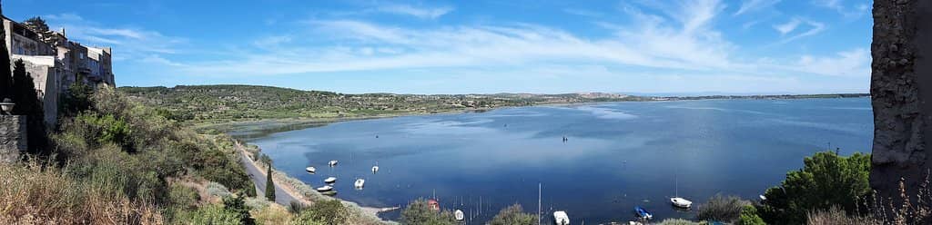 Scenic Walking Trails