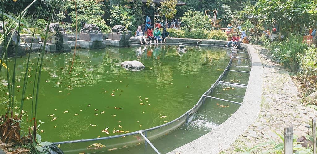 Amphitheater by the River
