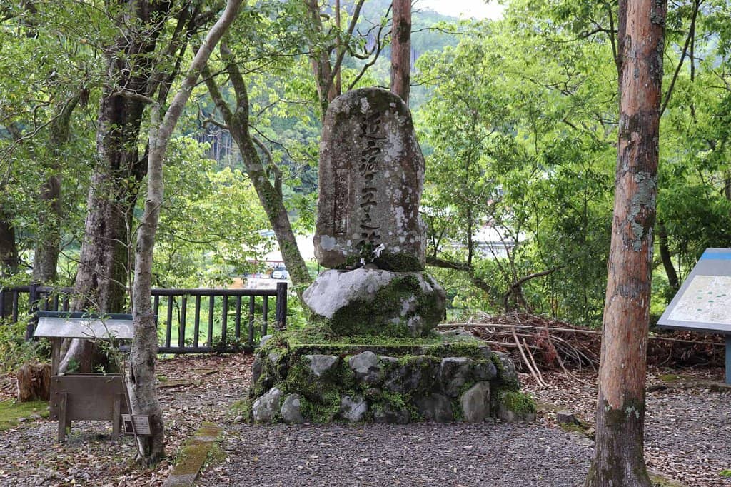 Ancient Forest Trails
