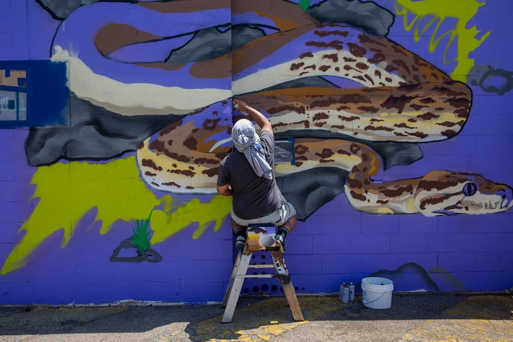 Artistic Neighborhood Exploration