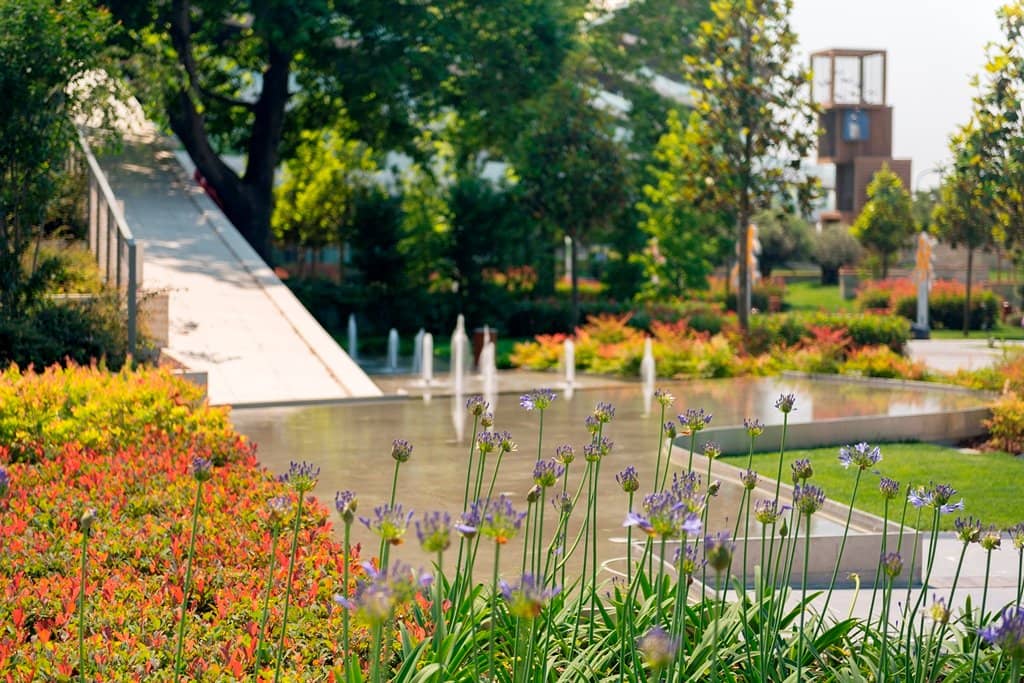 Luxury Shopping Boutiques