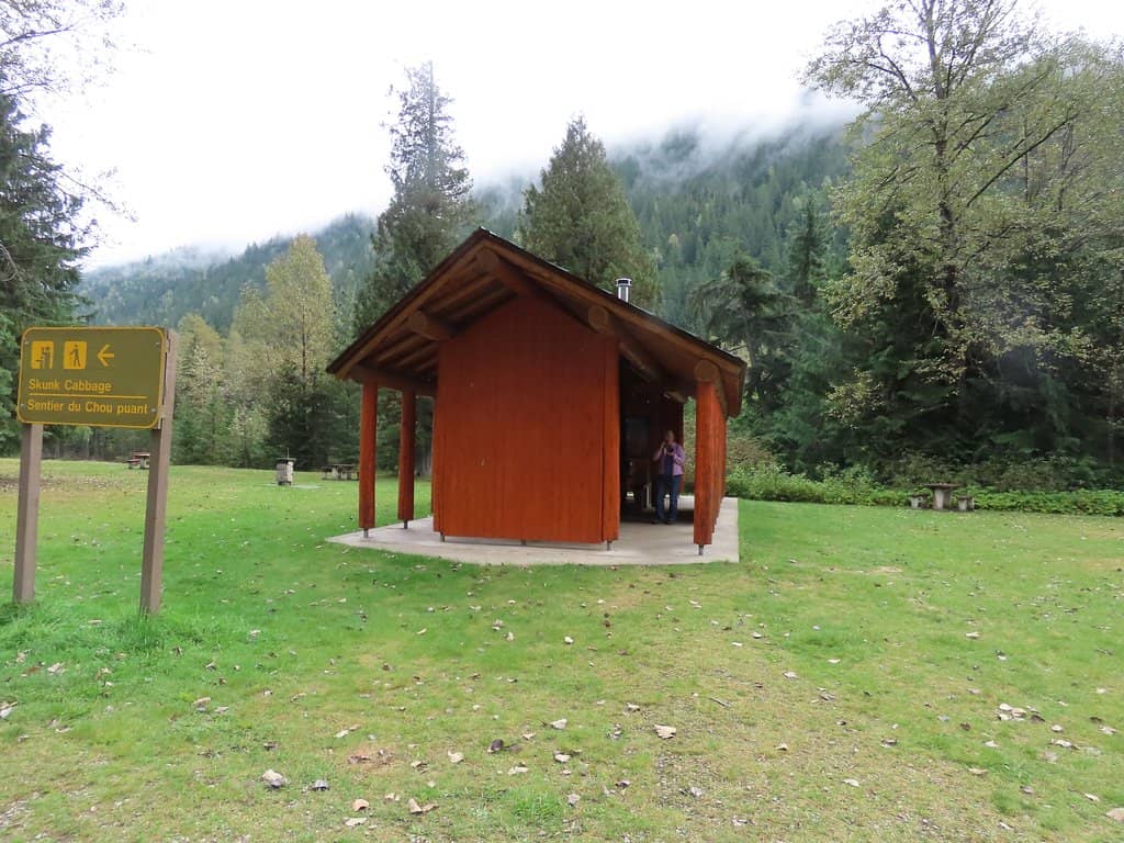 Old Growth Forest Trail
