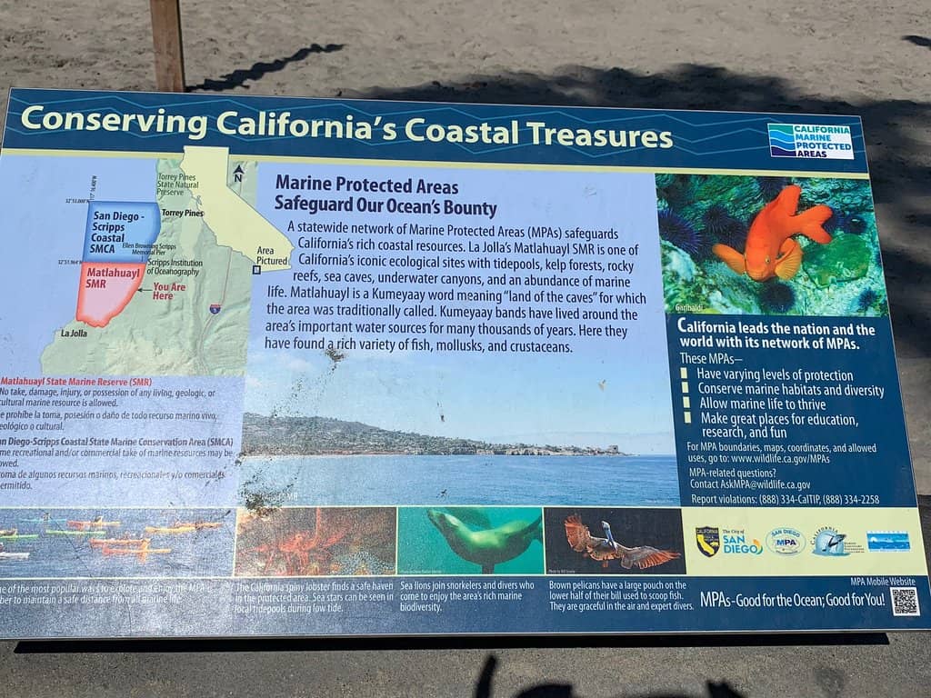 Beachside Playground