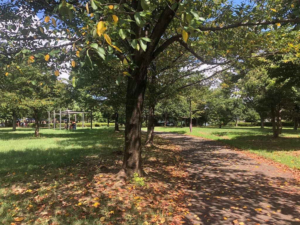 Yuto Horigome Skate Spot