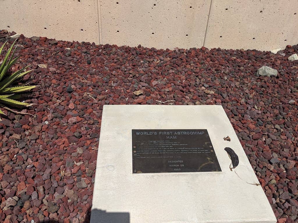 Space & Sci-Fi Pop Culture